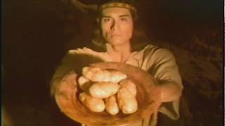 1998 Mccain Home Fries Commercial