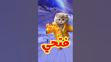 فتحي فتحي قلبي و حياتي اغنية باسم فتحي اغنيه فتحي 