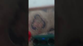 Download Lagu uii bass mengerikan MP3