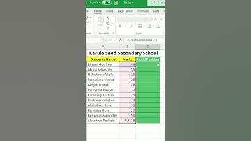 Rank Formula in Excel