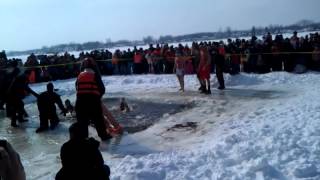 polar plunge