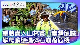 重裝邁入山林賞「臺灣龍膽」 攀爬峭壁遇碎石崩落危機｜台中市和平區 麥覺明【@ctvmit818集】