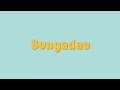 Connequin Bungadau Lyric Video