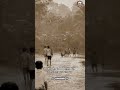 sepak bola paling berkesan #nostalgia #pialadunia2026