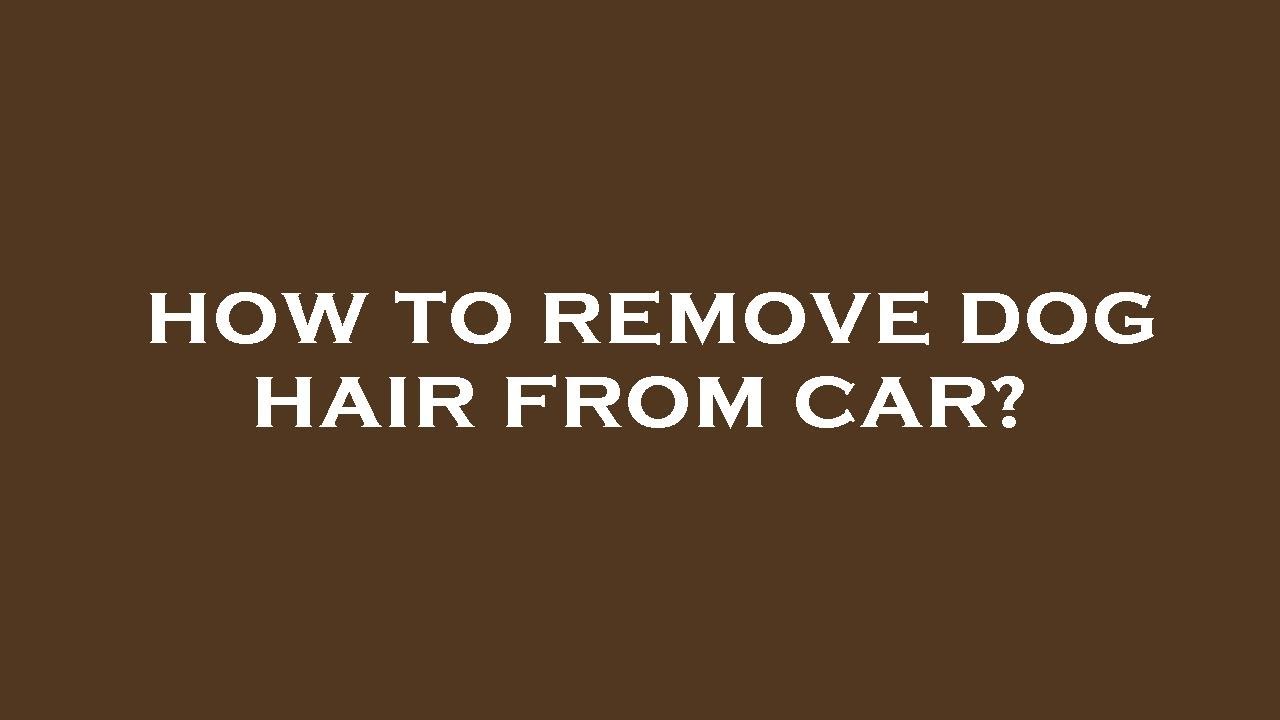 How to remove dog hair from car? YouTube