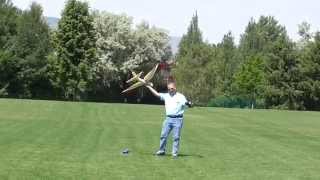 Fpv Albatross With Ailerons