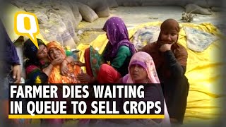 Amethi Farmer Dies Waiting In Queue To Sell His Harvest