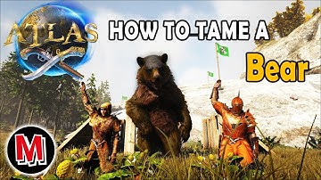 ATLAS How To Tame a Bear