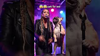 #trandingshorts #shortfeed #shortsvideo #trandingsong #trandi song name #sunosajnareladokanganare