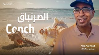 مع علي عبدالمالك الحلقه الخامسه الصرنباق With Ali Abdelmalek episode 5Finger Conch