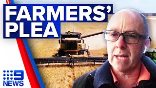 Grain growers plea for skilled international workers | Coronavirus | 9 News Australia