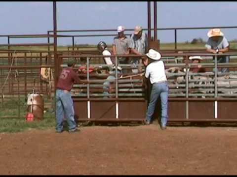 Flying S Bucking Bulls 2