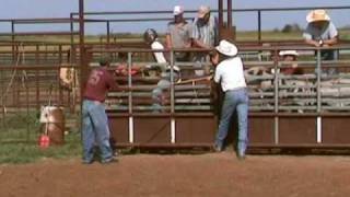 Flying S Bucking Bulls 2