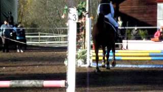 Petit Cheval 60Cm Perusrata