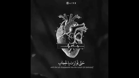 كتاب أنزلنا إليك مبارك ليدبوا آياته | مقاطع دينية قصيرة قرآن كريم مع الترجمة