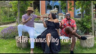 Hermanus Vlog Part 1 || A weekend in the Winelands