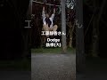 #工藤静香さん#Dodge#鉄棒(大)