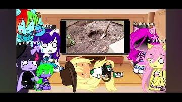 this video had me dying of laughter, harry reacts to mlp reacts to howtobasic