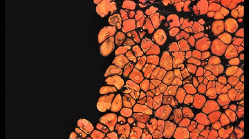 Acrylic Swipe Painting : The Most Gorgeous Acrylic Swipe with Paper Towel