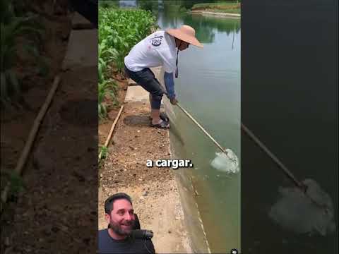 What do you think of this technique?