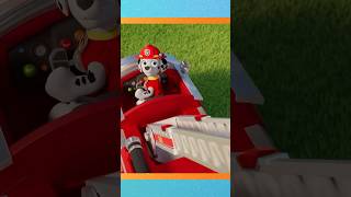 Can Marshalls ladder reach the top of the tree? Only one way to find out! #pawpatrol #shorts