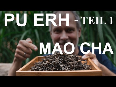 Video: Pu-Erh-Tee Ist Ein Großartiges Mittel Gegen Herbstblues
