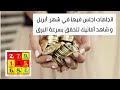 5 اتجاهات تحقق امانيك كالبرق في ابريل الثراء الزواج السفر الحظ السعيد وغيرها 5 اتجاهات تحقق امانيك كالبرق في ابريل الثراء الزواج السفر الحظ السعيد وغيرها