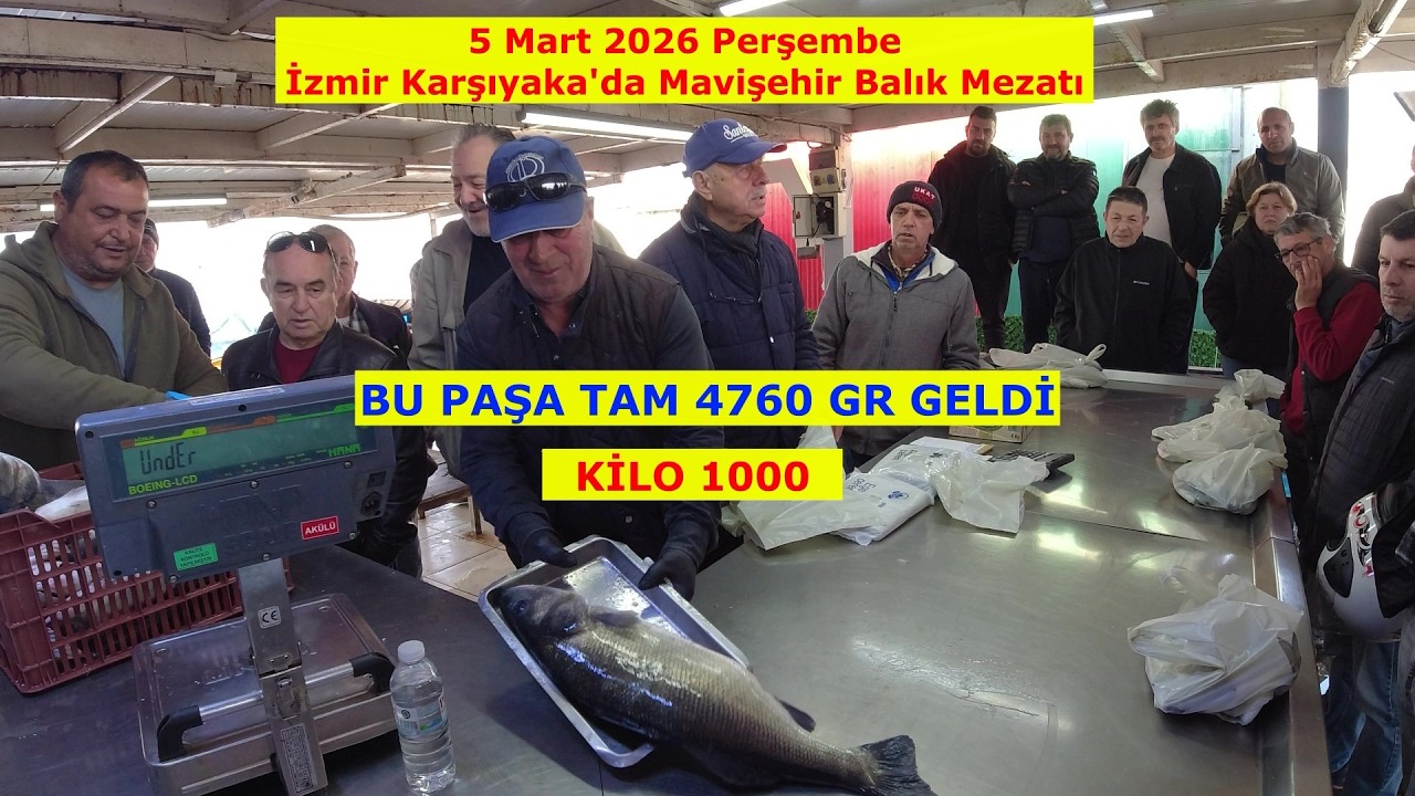 5 MART 2026 PERŞEMBE. GENİŞ EKRAN MAVİŞEHİR BALIK MEZATI.