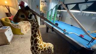 WORLD FIRST!! We Build A Thomas Track But ON A GIRAFFE'S HEAD