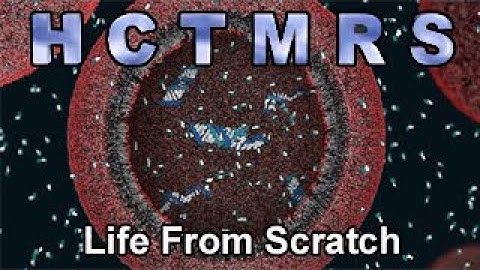 How Creationism Taught Me Real Science 99 Life From Scratch