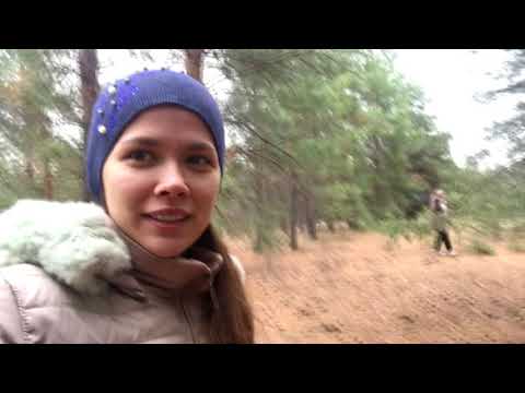 Сбор грибов 2020 | Природа Волгоградской области