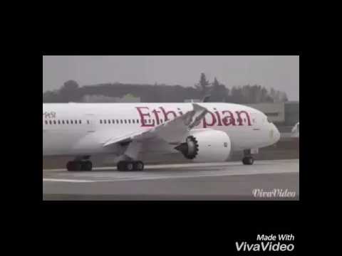 እር አሁንስ ምኑን ችዬ እናት አገሬን መልሠኝ ፈጣርዬ ብቸገር ቢከፋኝ ባገሬ እባክህ ሞቴን ባገሬ