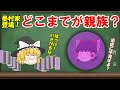 【民法】親族の範囲【ゆっくり解説】