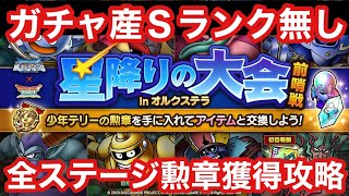 【ドラゴンクエストタクト】星降りの大会inオルクステラ前哨戦をガチャ産Ｓ無しで攻略！全ステージ勲章獲得立ち回りまとめ！