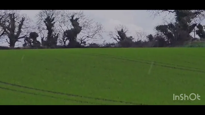 Ireland hare coursing Bruce