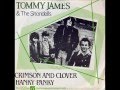 Tommy james  the shondells  hanky panky 1966