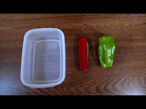 【まな板を使わない野菜の切り方】ピーマンの千切り Short ver.