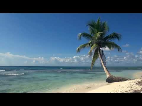 Dalampasigan