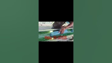 Automatic soap cutter machine / soap cutting machine for bar soap production