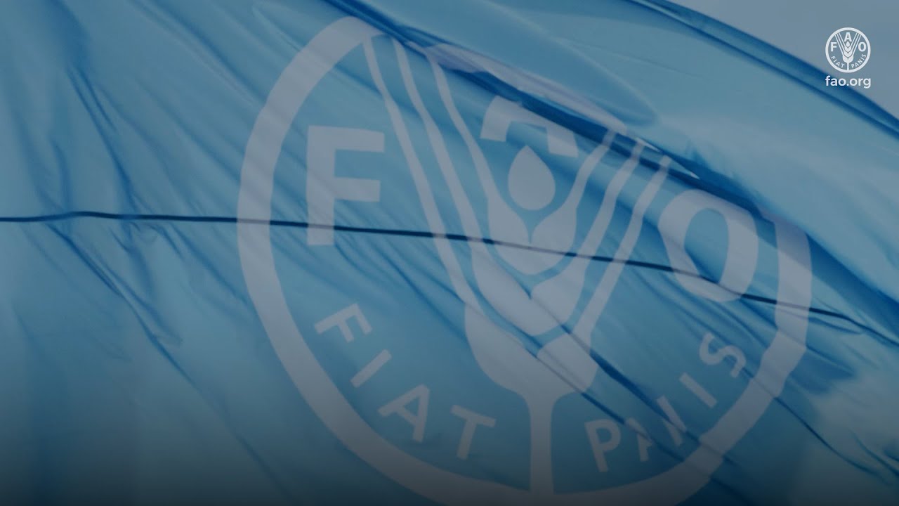 Video del 80 anniversario de la FAO