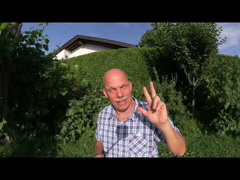 Vídeo: O Que Realmente Fez O Buraco No Campo Na Alemanha? - Visão Alternativa