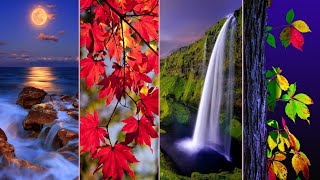 Nature Wallpaper Photo & Dp Picture For Whatsapp | Wallpaper Photo | screenshot 2