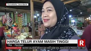 Harga Telur Ayam Masih Tinggi  Redaksi Pagi 070723