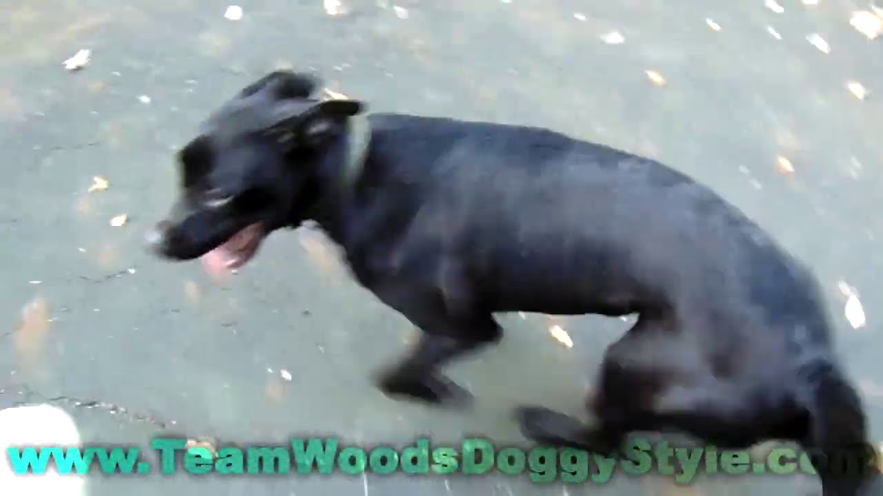 Token trying to get in where he fit in   