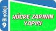 Hücre Biyolojisi: Hücre Yapısı ve İşlevleri ile ilgili video