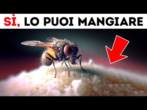 Video: Chi mangiano le mosche domestiche?