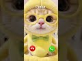 Pinko Is Calling Ringtone Music Smartphone Funny Pinko Cat Catshorts Catvideos Pinko Is Calling Ringtone Music Smartphone Funny Pinko Cat Catshorts Catvideos