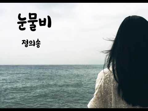 정의송 눈물비 연속3번듣기