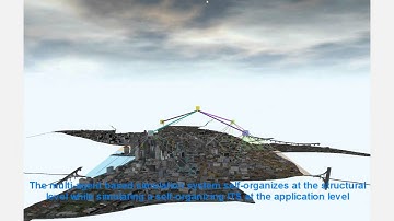 Simulation of Self-Organizing Environment