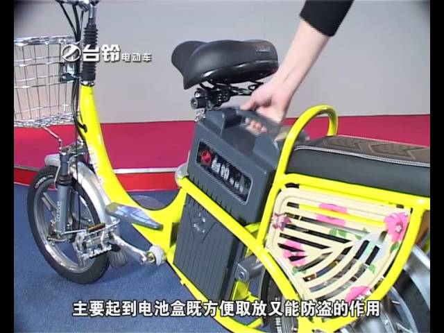 tailg electric bicycle Citi Bug E-Bike Tailg lithium battery bicycle